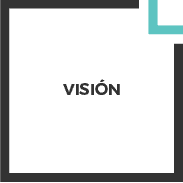 vision