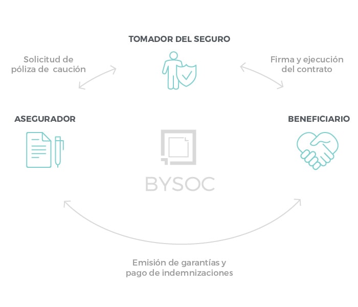 proceso del seguro de caucion